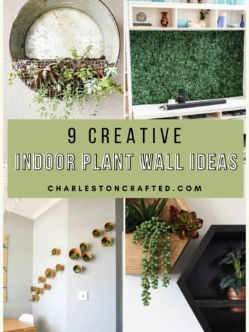 9 Creative Indoor Plant Wall Ideas