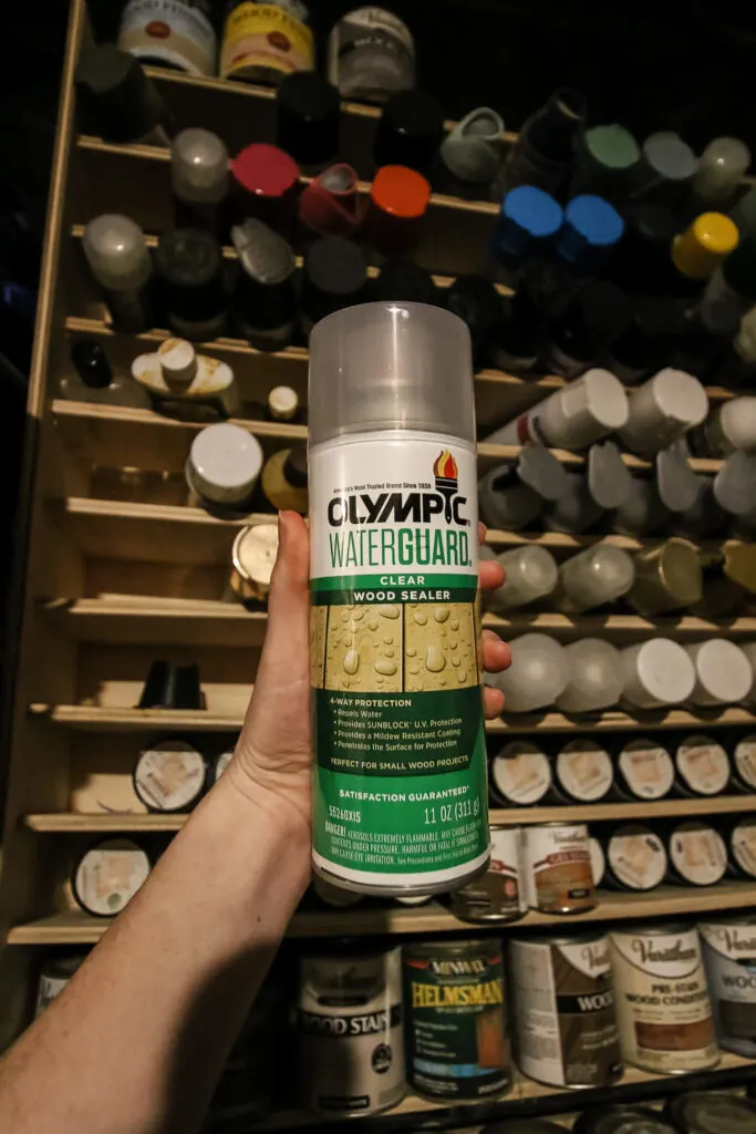 outdoor spray paint sealant