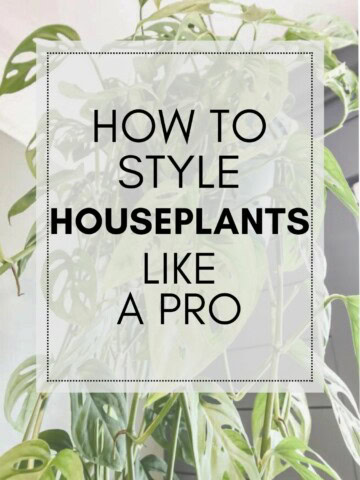 how to style houseplants like a pro