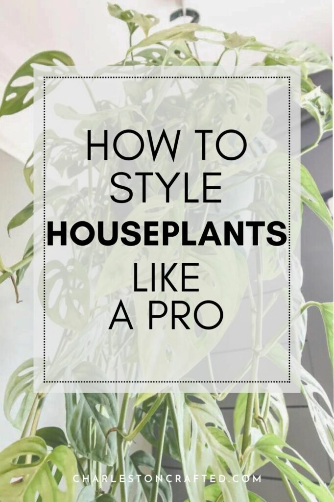 how to style houseplants like a pro