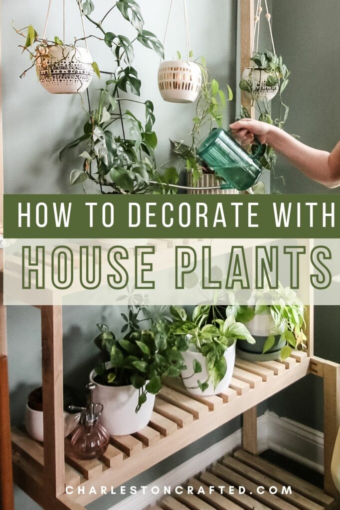 how to decorate with houseplants