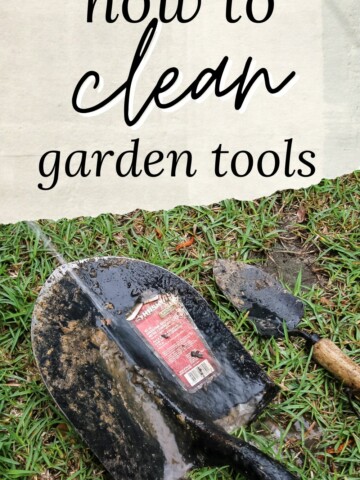 how to clean garden tools