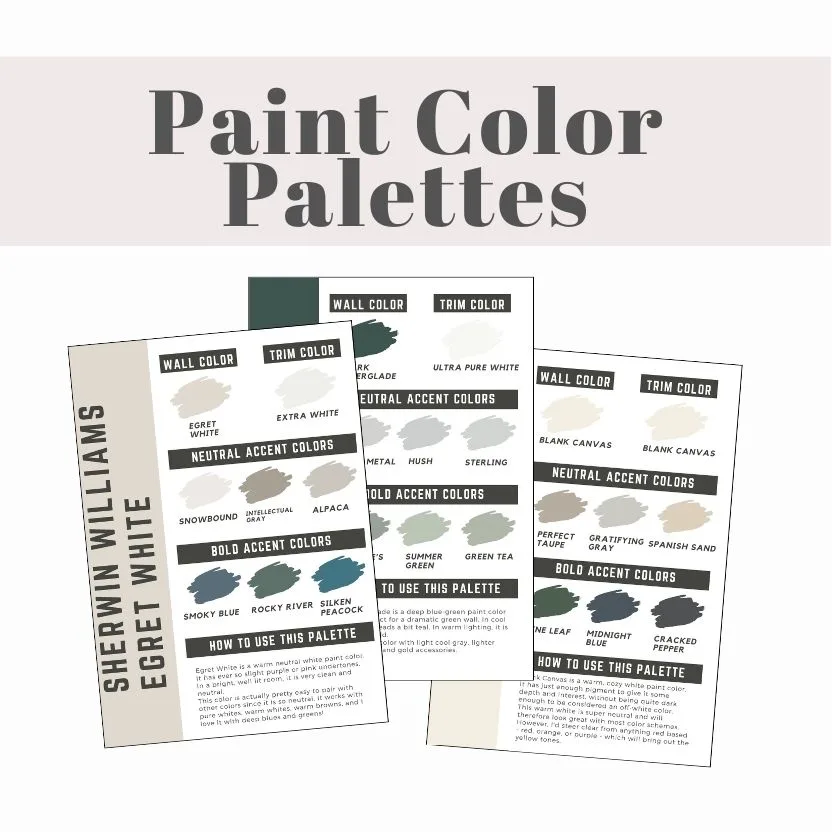 pre made paint color palettes