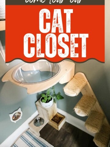 tour our cat closet!