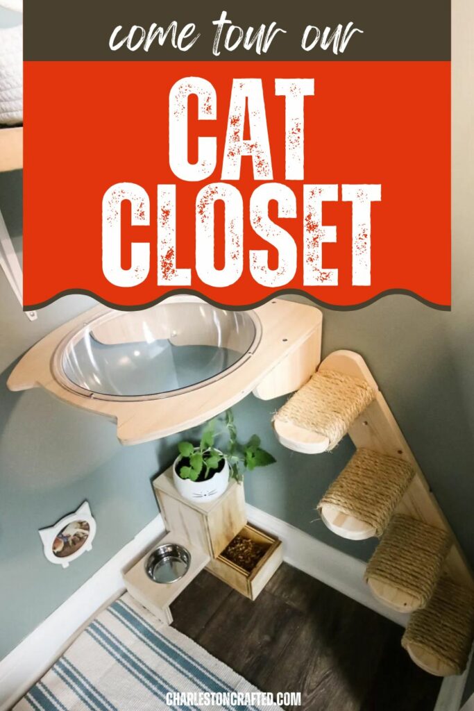 tour our cat closet!