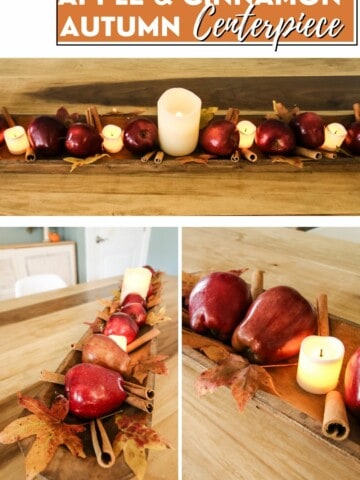 apple and cinnamon stick fall centerpiece