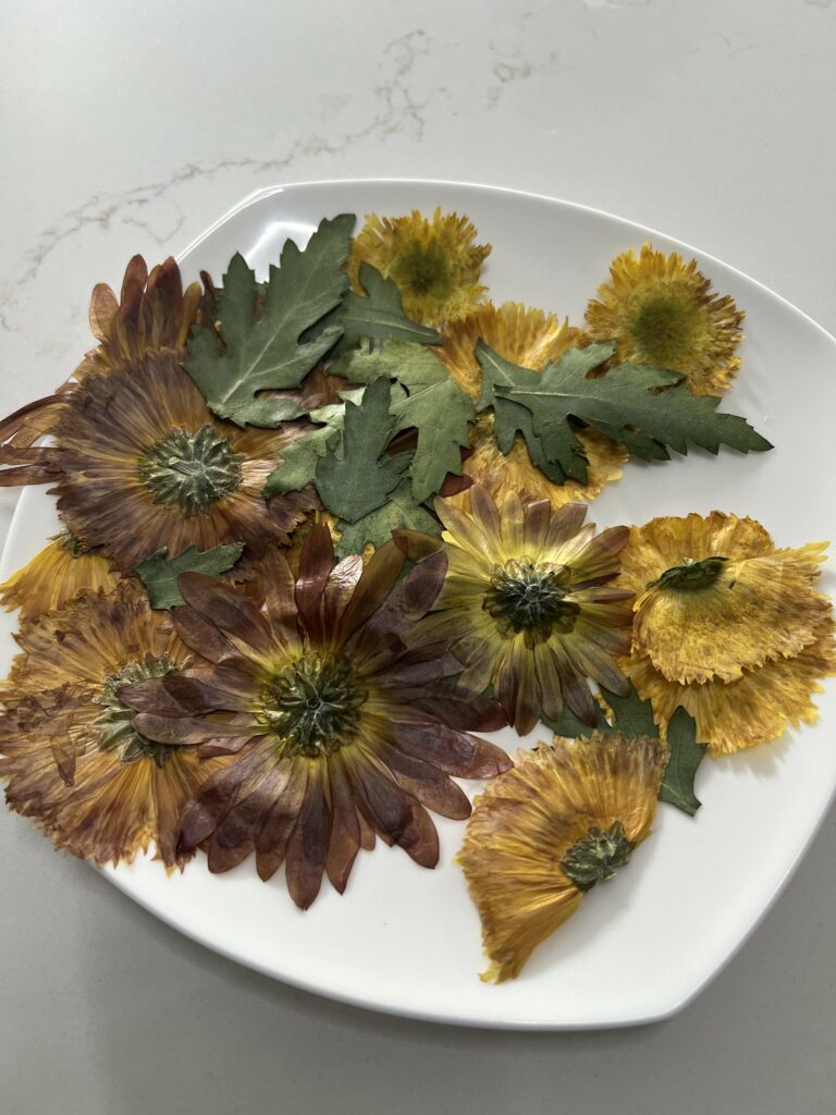 pressed flowers