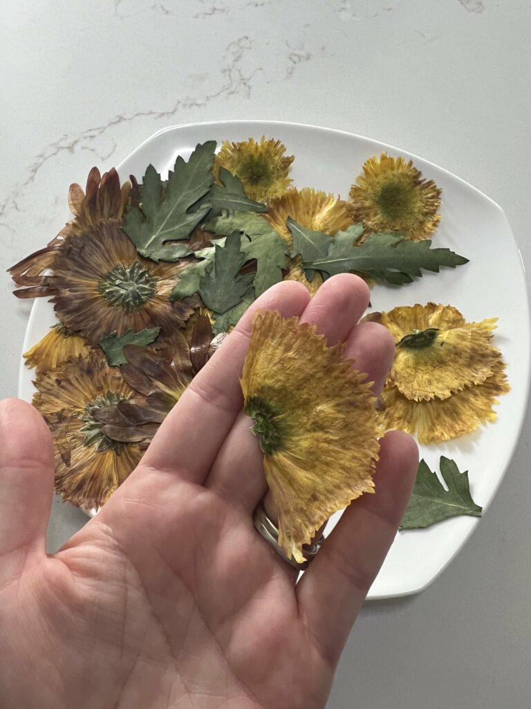 pressed flowers