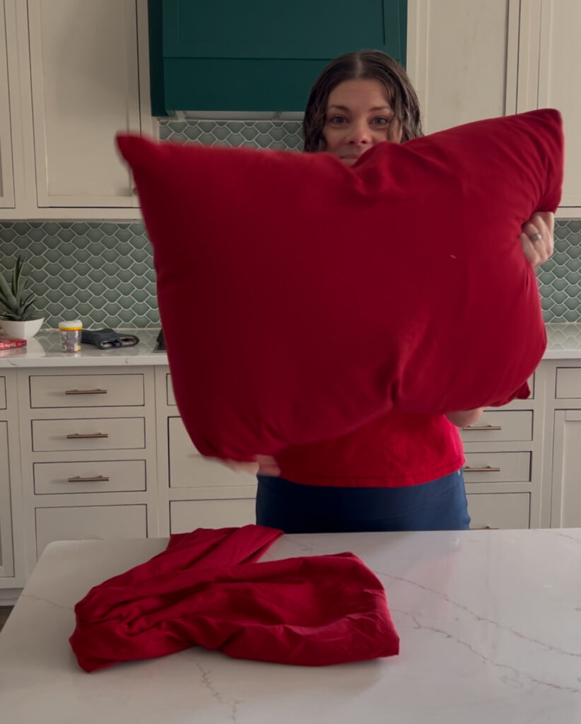 pillow in pillow case