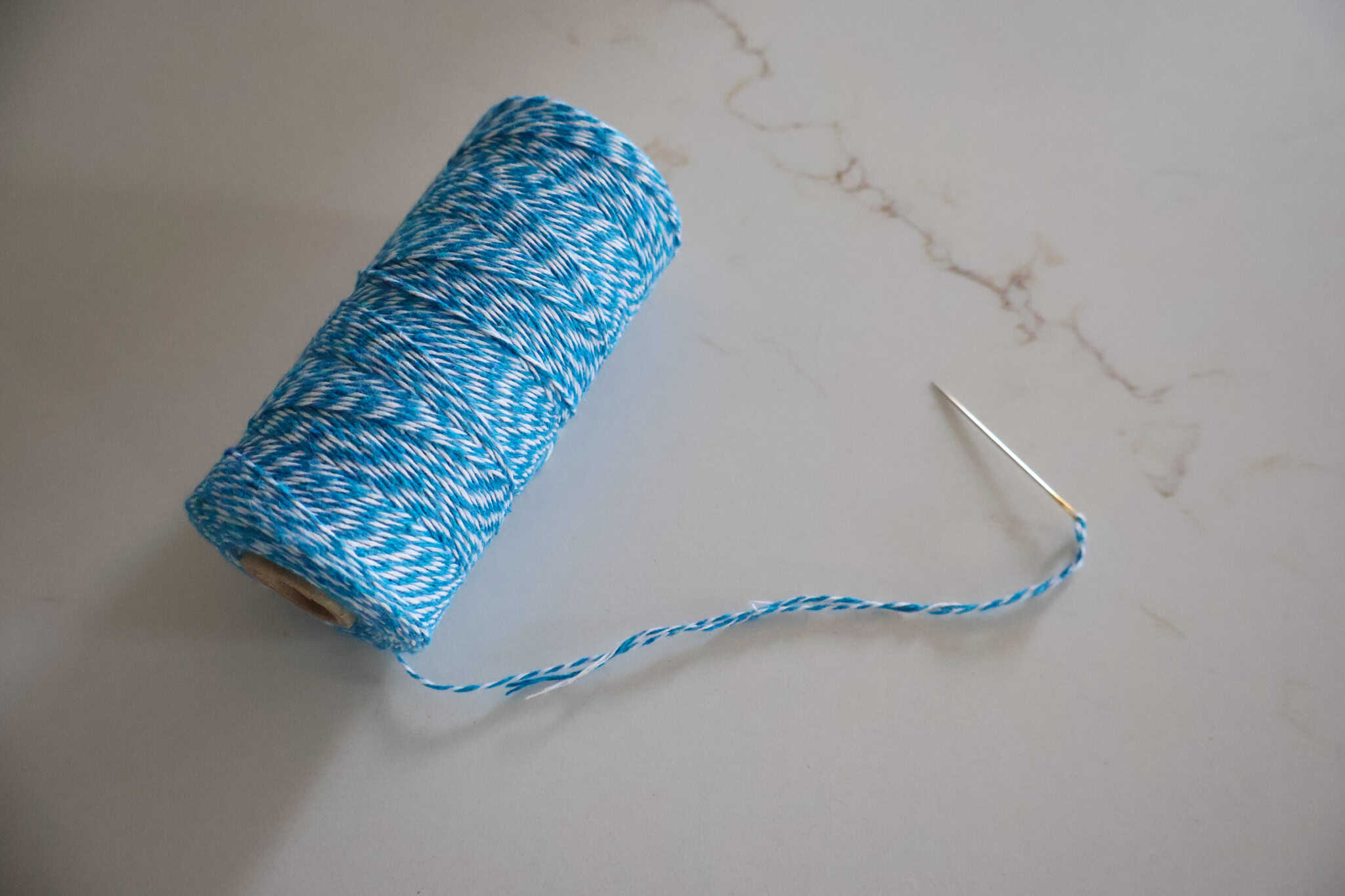 twine threaded on an embroidery needle